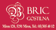 Bric